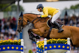 Cavalo Brasileiro de Hipismo